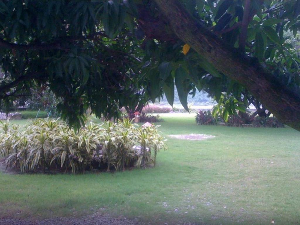 Dewdrop Mango Bloom Resort Jim Corbett National Park Стая снимка